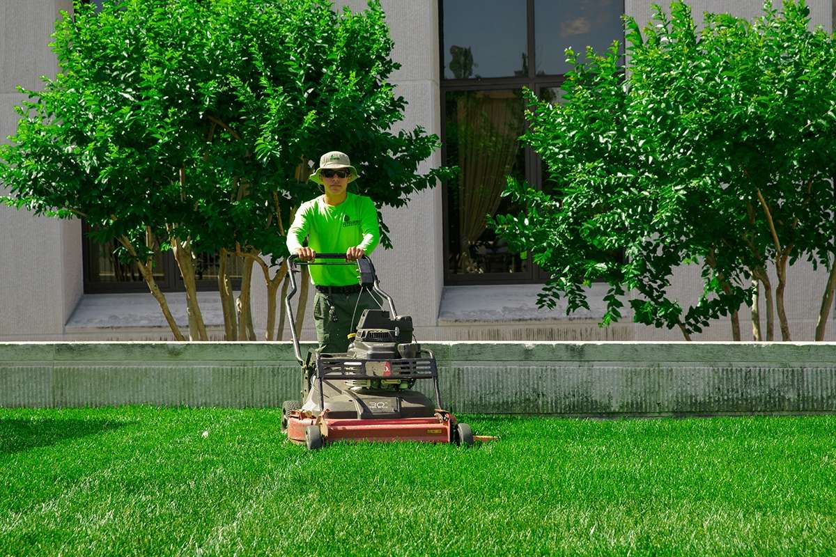 Gardening Services Dublin